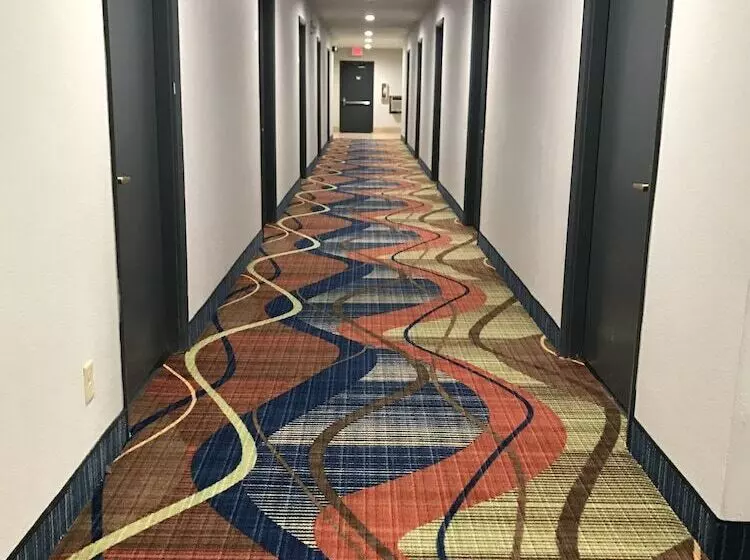 酒店 Scottish Inn And Suites Tomball