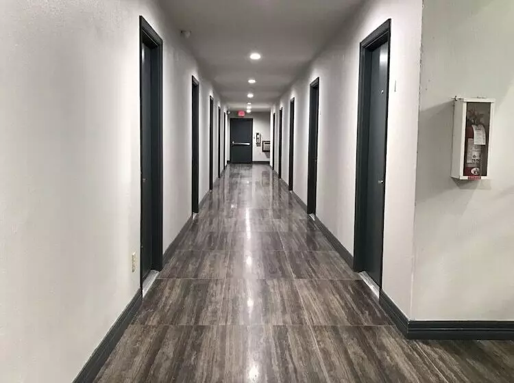 酒店 Scottish Inn And Suites Tomball