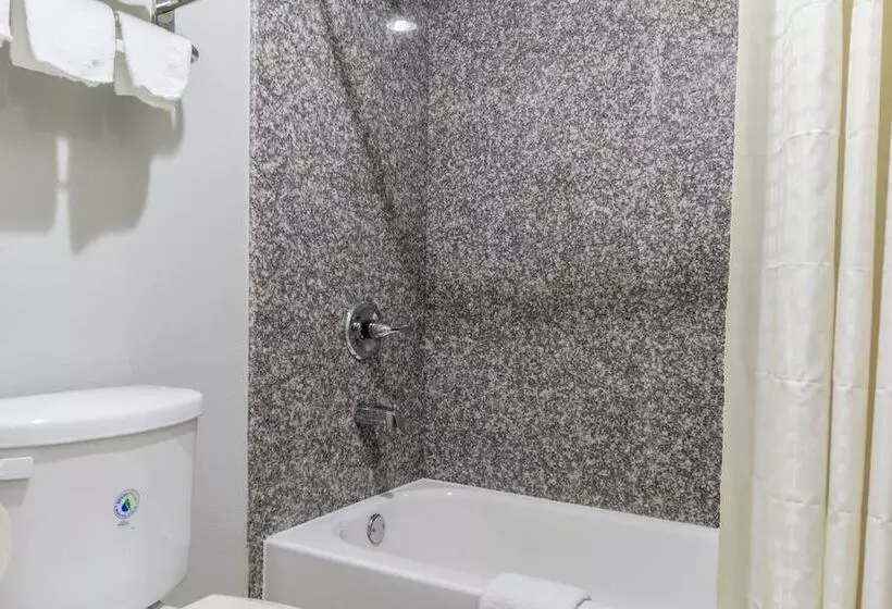 酒店 Scottish Inn And Suites Tomball