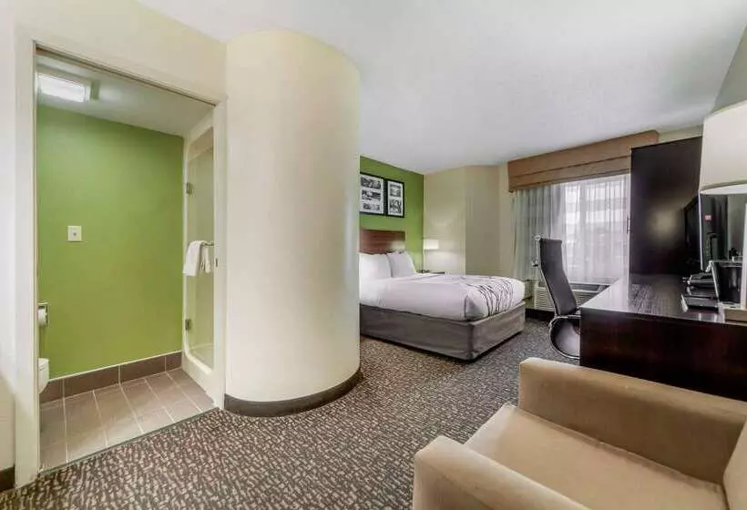 酒店 Sleep Inn & Suites Omaha Airport