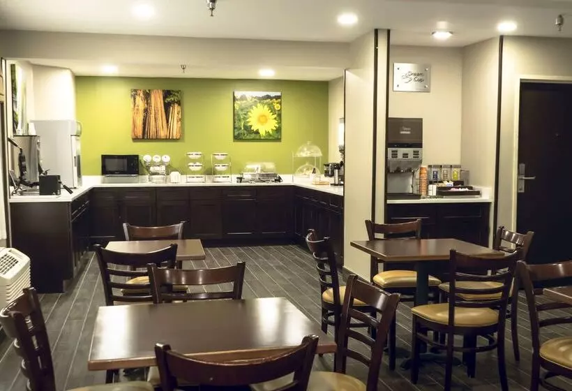 酒店 Sleep Inn & Suites Omaha Airport