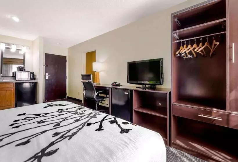 酒店 Sleep Inn & Suites Omaha Airport