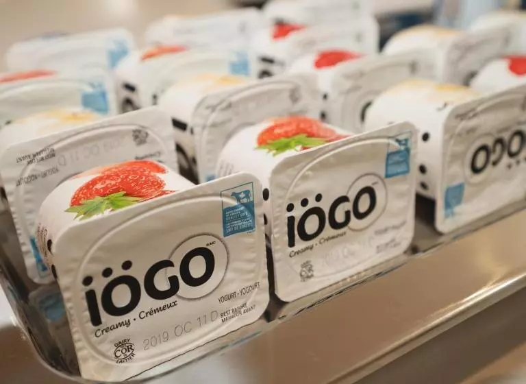 فندق على الطريق Robin Hood Inn And Suites