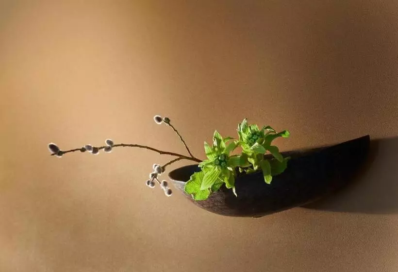 Отель Arima Onsen Takayamaso Hanano