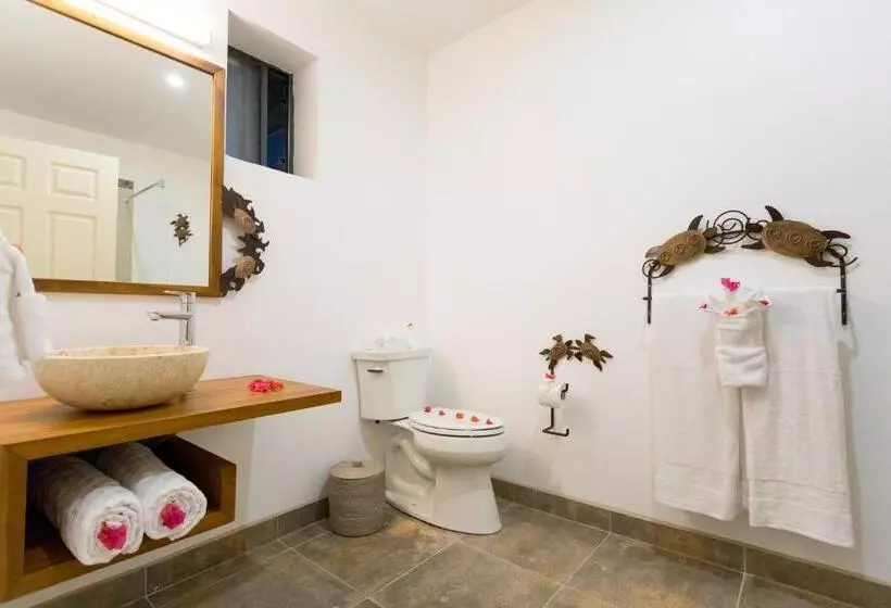 هتل True Blue Bay Resort