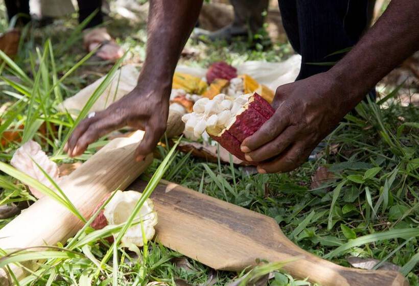 هتل True Blue Bay Resort