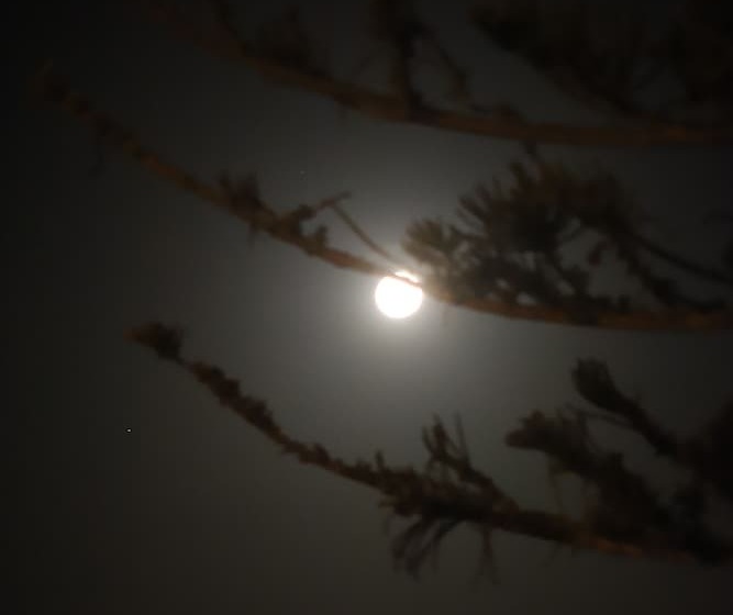 Sierra Beachfront Motel