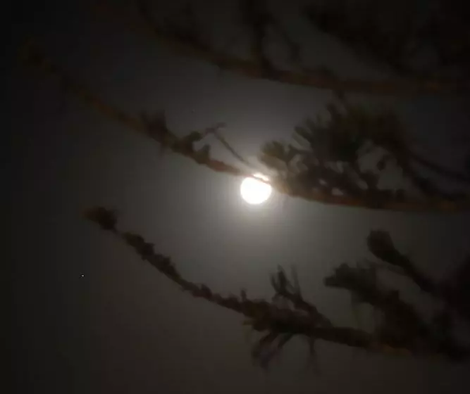 Sierra Beachfront Motel