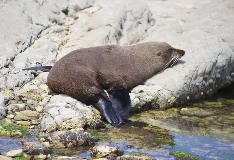 Sierra Beachfront Motel