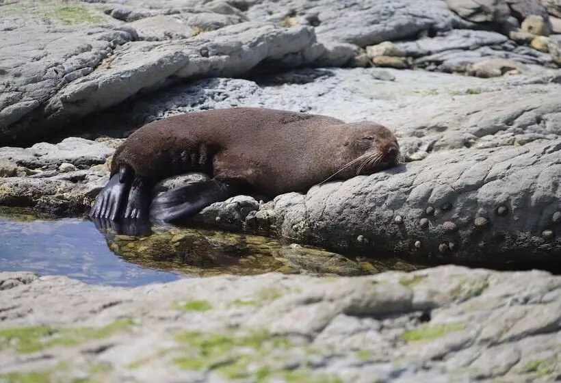 Sierra Beachfront Motel