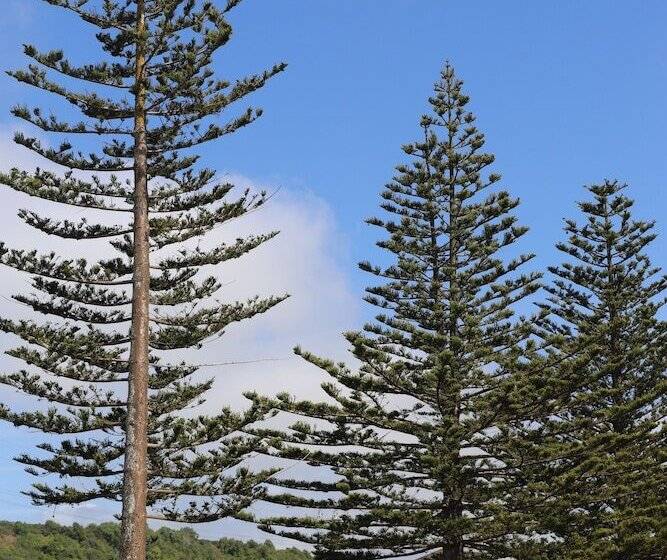 Sierra Beachfront Motel
