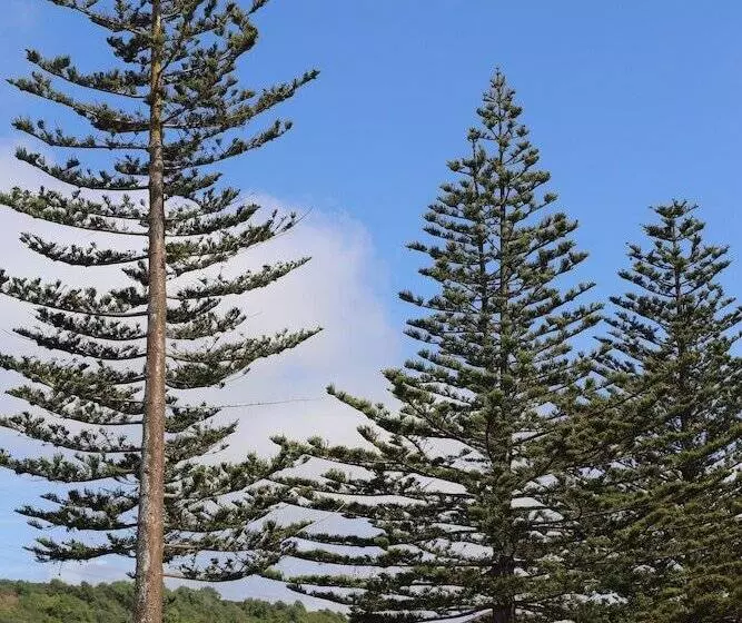 Sierra Beachfront Motel