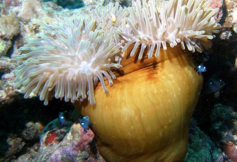 Garden Island Resort