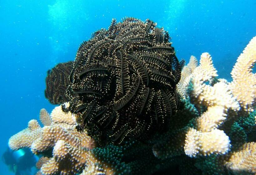 Garden Island Resort