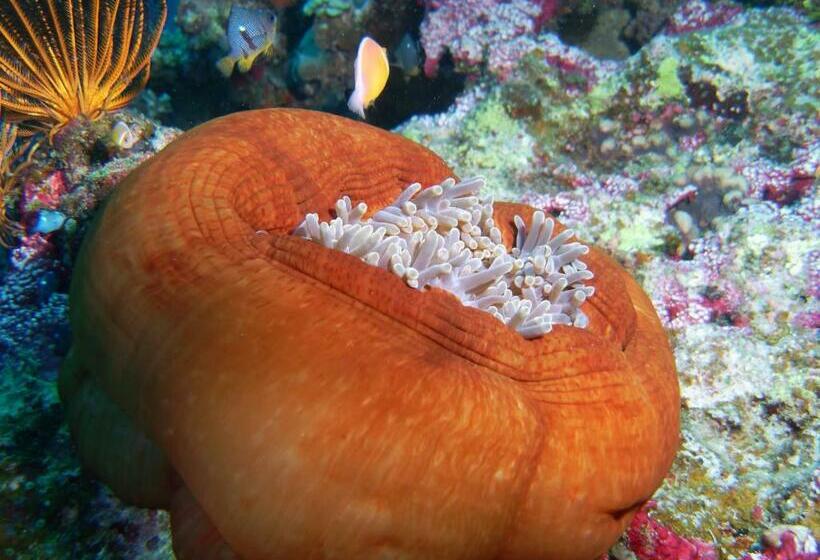 Garden Island Resort