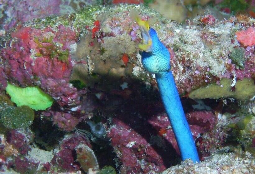 Garden Island Resort