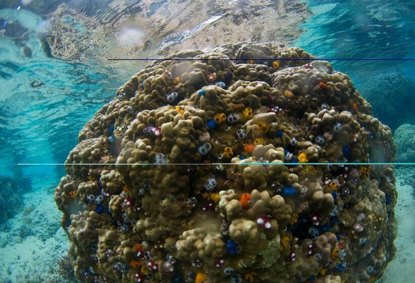 Garden Island Resort