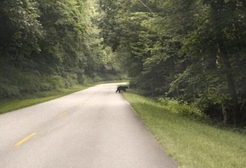 Отель Grandview Lodge