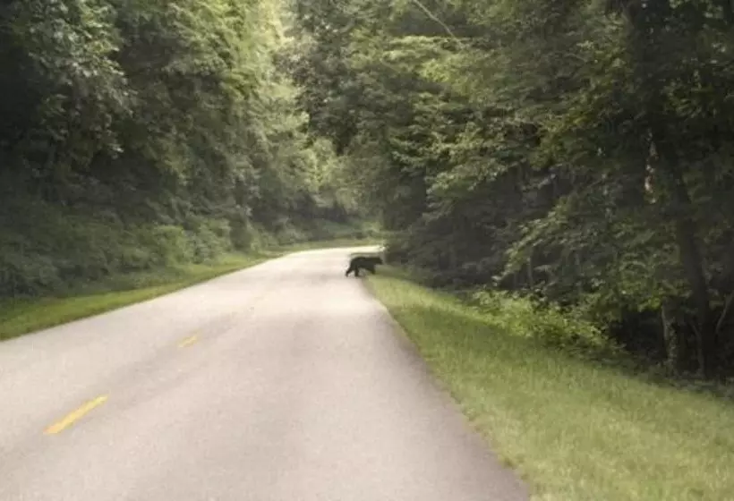 Отель Grandview Lodge