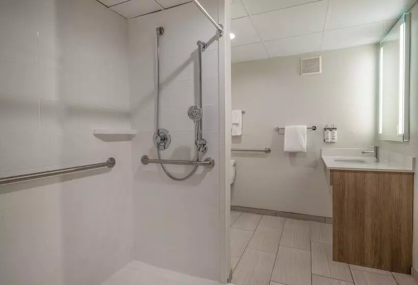 酒店 Holiday Inn Express & Suites Greensboro   I 40 Atwendover, An Ihg