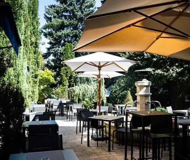 Отель Hostellerie Cèdre & Spa Beaune