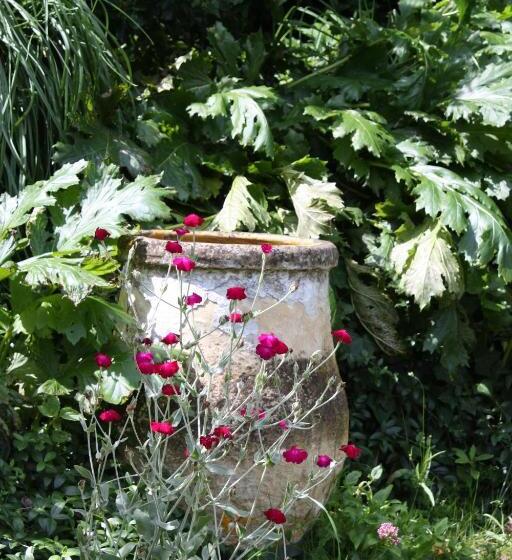 בית מלון כפרי Le Mas Trilles