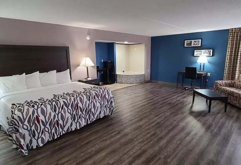 酒店 Red Roof Inn & Suites Duncan