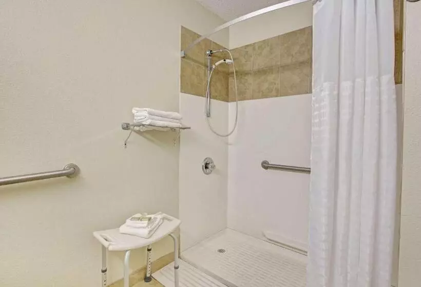 汽车旅馆 Super 8 By Wyndham Shelby