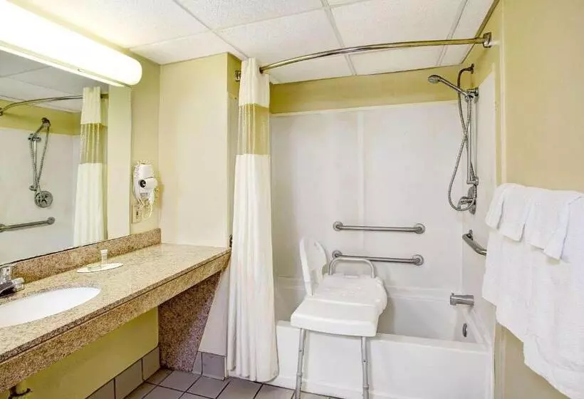 汽车旅馆 Super 8 By Wyndham Walterboro