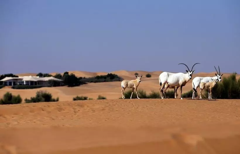 Al Maha, A Luxury Collection Desert Resort & Spa, Dubai