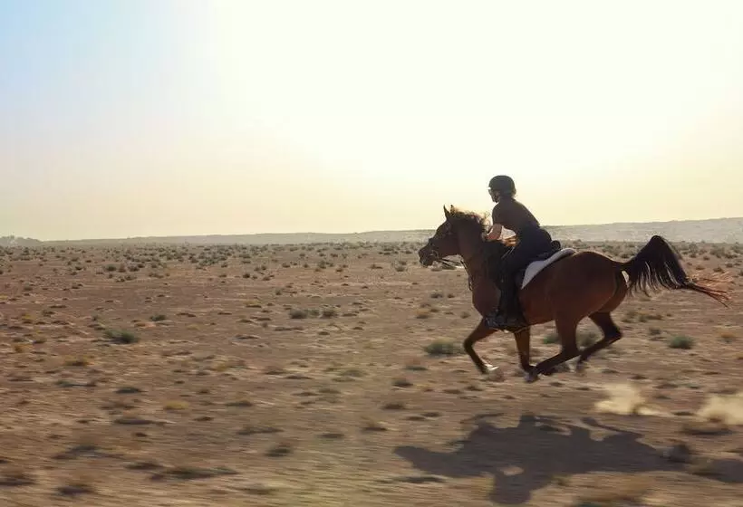 Al Maha, A Luxury Collection Desert Resort & Spa, Dubai