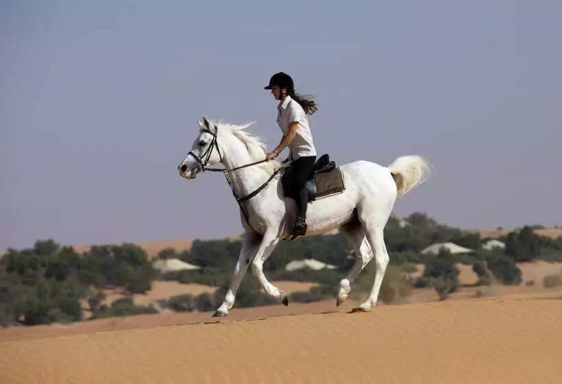 Al Maha, A Luxury Collection Desert Resort & Spa, Dubai