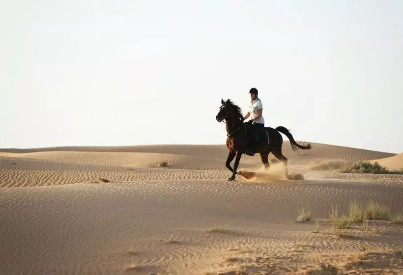 Al Maha, A Luxury Collection Desert Resort & Spa, Dubai