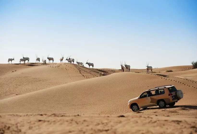 Al Maha, A Luxury Collection Desert Resort & Spa, Dubai