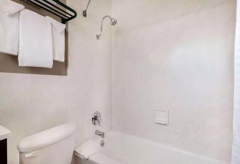 هتل Days Inn By Wyndham Show Low