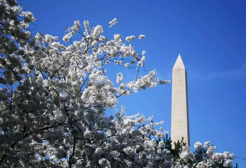 ホテル Embassy Suites By Hilton Washington Dc Chevy Chase Pavilion