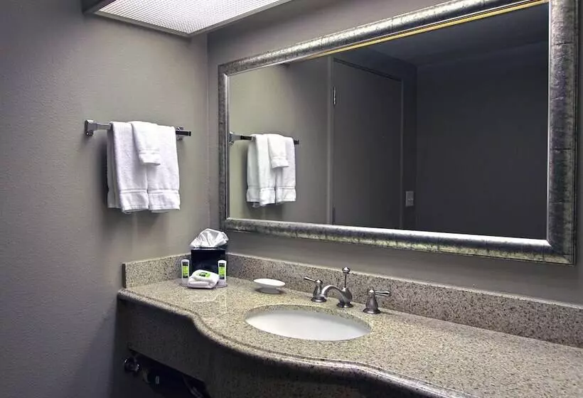 Отель Executive Inn & Suites Oakland