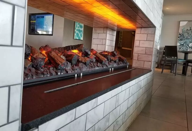 Отель Executive Inn & Suites Oakland