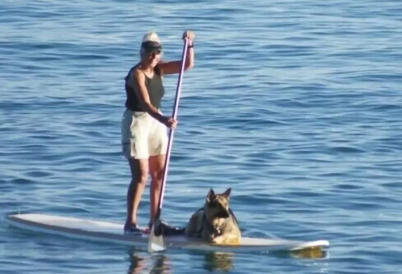 ホテル Holiday House