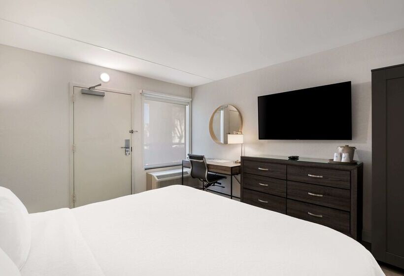 בית מלון כפרי Revival Scottsdale Studios