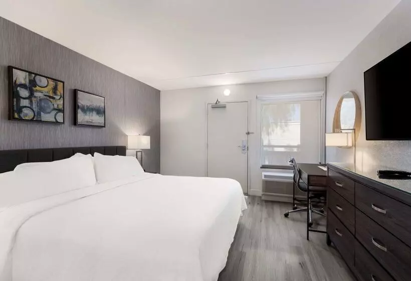 هتل Revival Scottsdale Studios