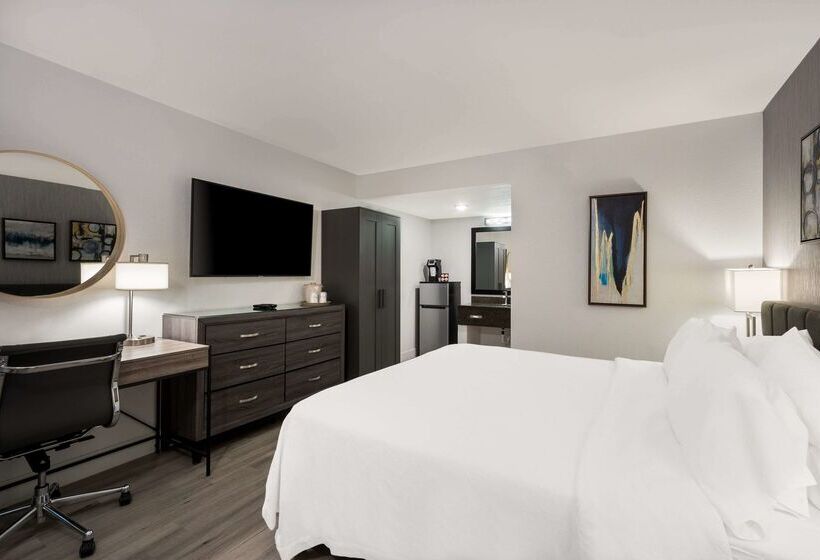 בית מלון כפרי Revival Scottsdale Studios