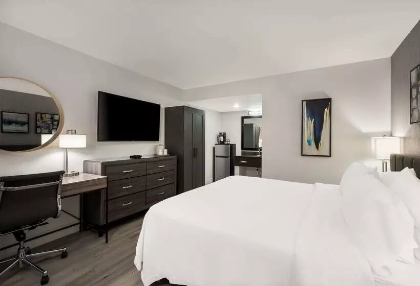 هتل Revival Scottsdale Studios