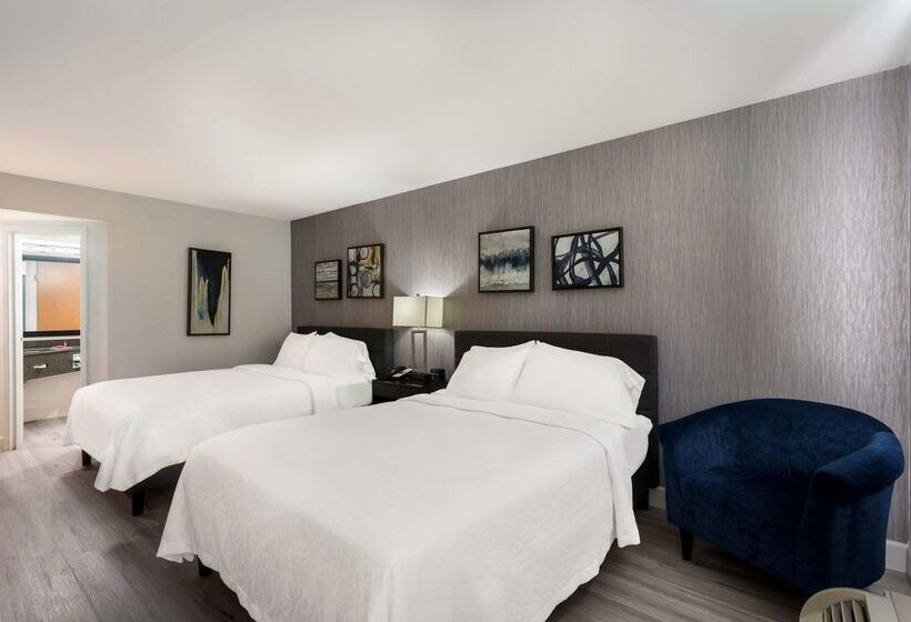 בית מלון כפרי Revival Scottsdale Studios