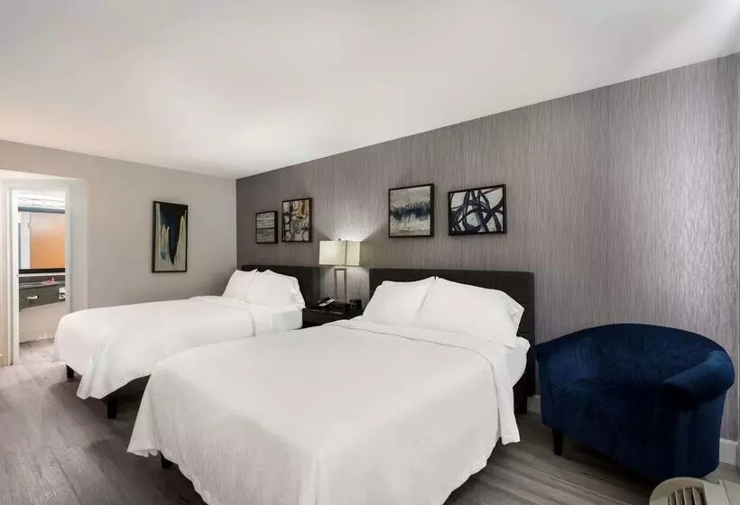 هتل Revival Scottsdale Studios