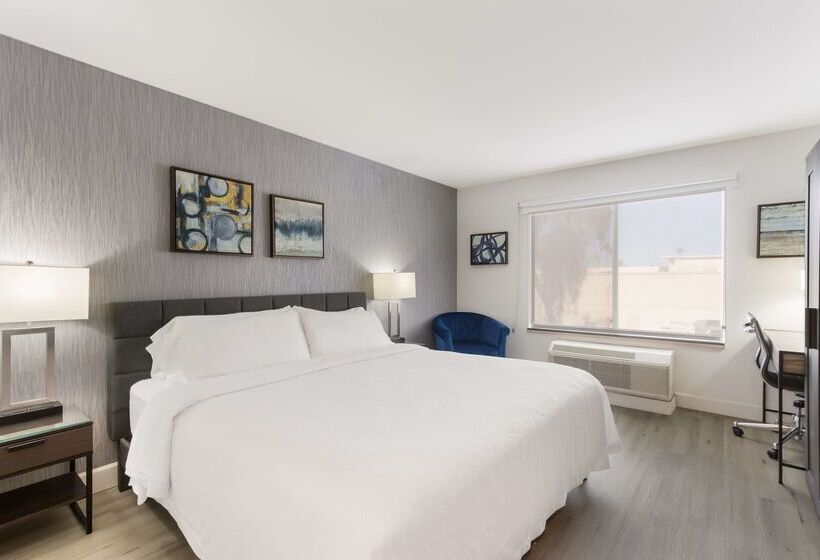 בית מלון כפרי Revival Scottsdale Studios