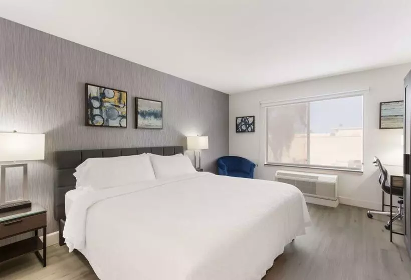 هتل Revival Scottsdale Studios