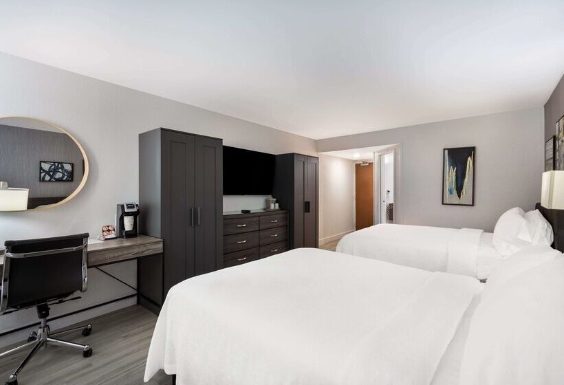 בית מלון כפרי Revival Scottsdale Studios