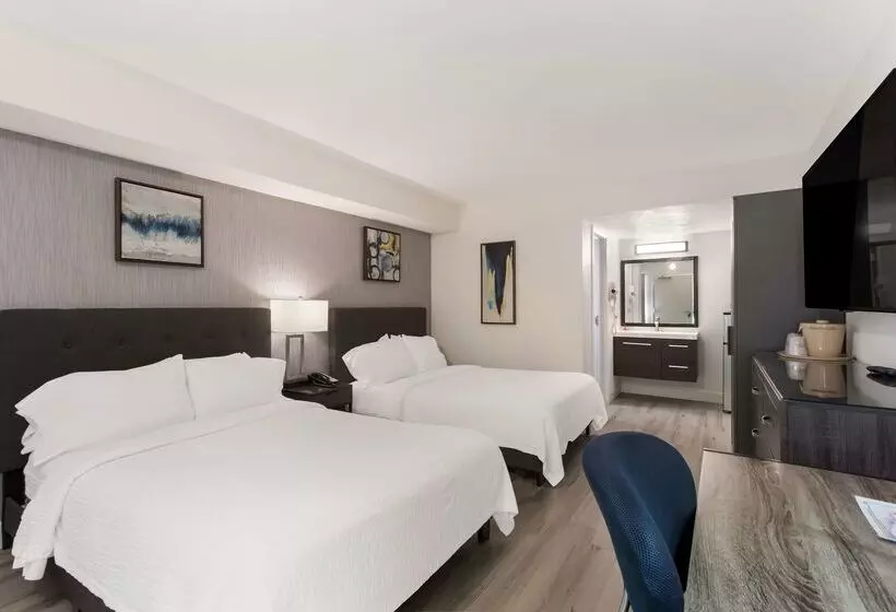 هتل Revival Scottsdale Studios