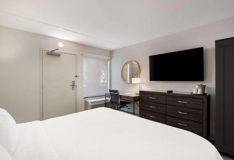 בית מלון כפרי Revival Scottsdale Studios